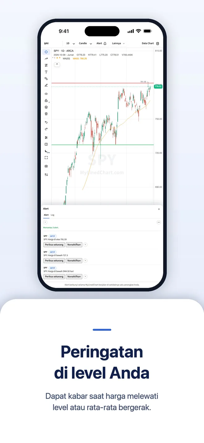 MyLinedChart di iPhone, gambar 8